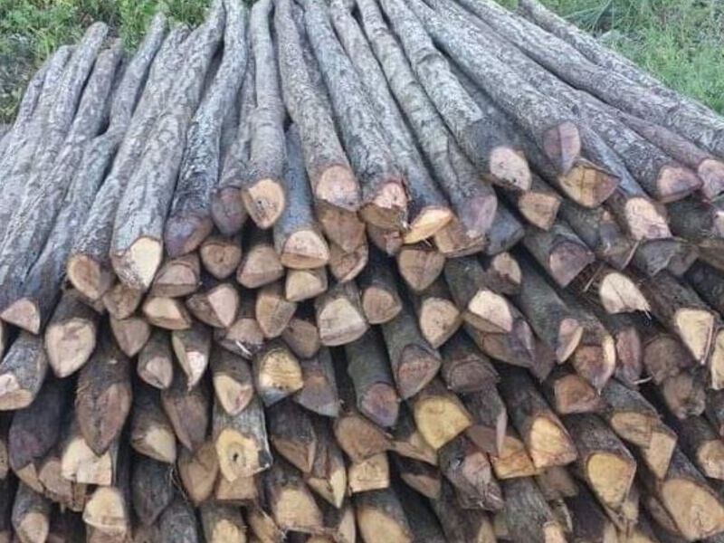 Madera Construcción México