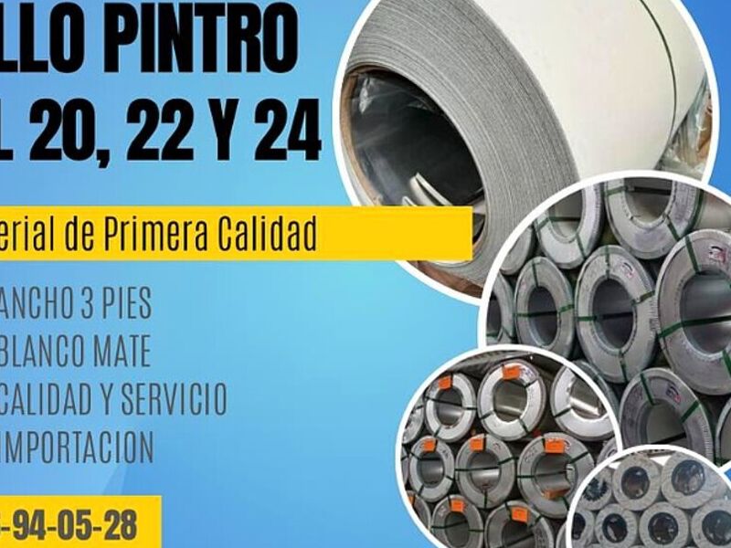 Rollo pintro México