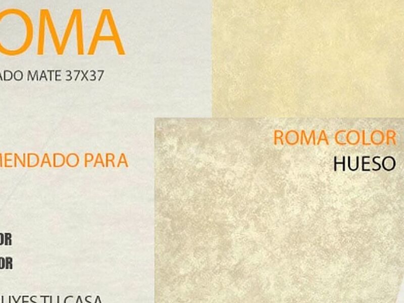 cerámico roma Puebla