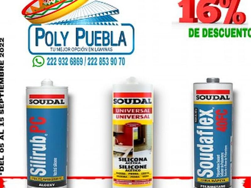 Silicon especial México