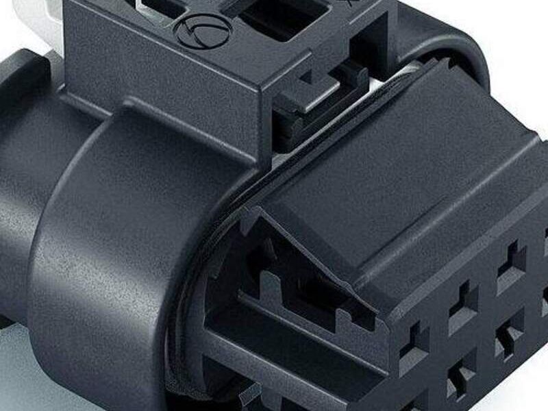 SealStar Hembra México