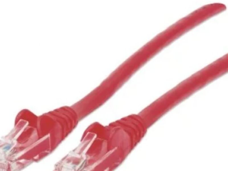 Cable de red color rojo de 2mts México