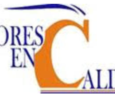 Asesores en Calderas