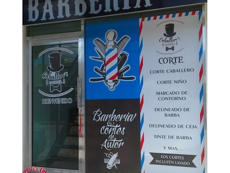 Vinil microperforado México