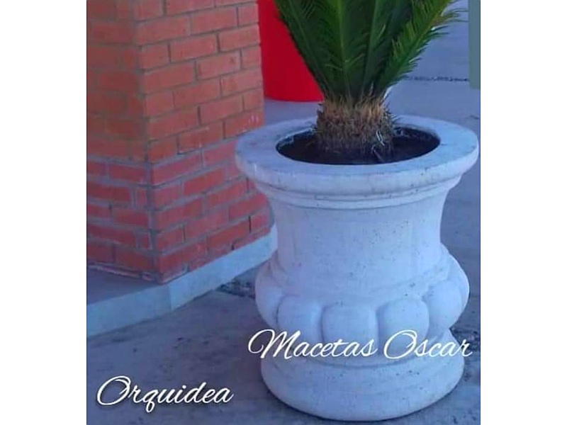 Maceta Orquídea México