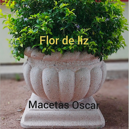 Macetas Oscar
