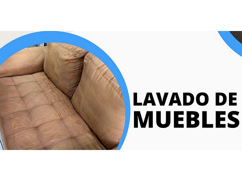 Lavado muebles Torreón