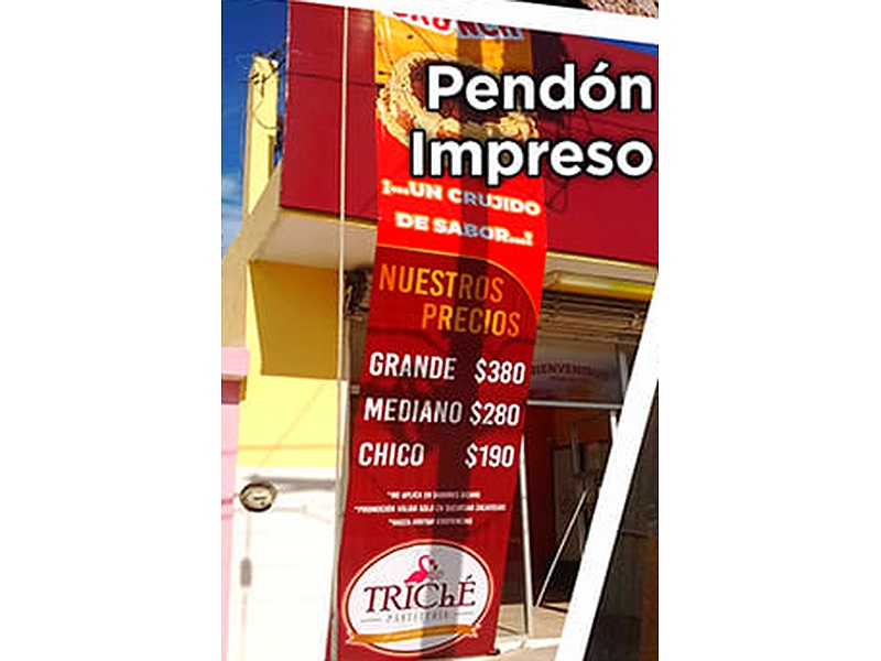 Pendón impreso México