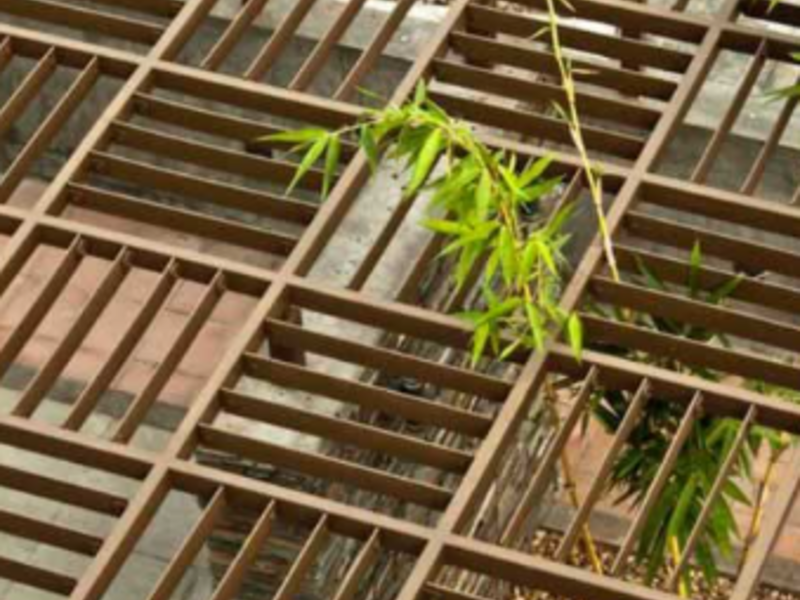 PÉRGOLA DE MADERA CDMX