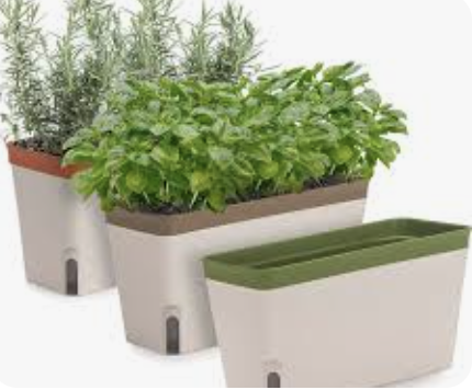 Macetas y jardineras México
