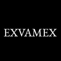 EXVAMEX