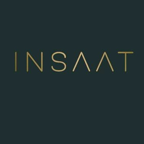 Grupo Insaat