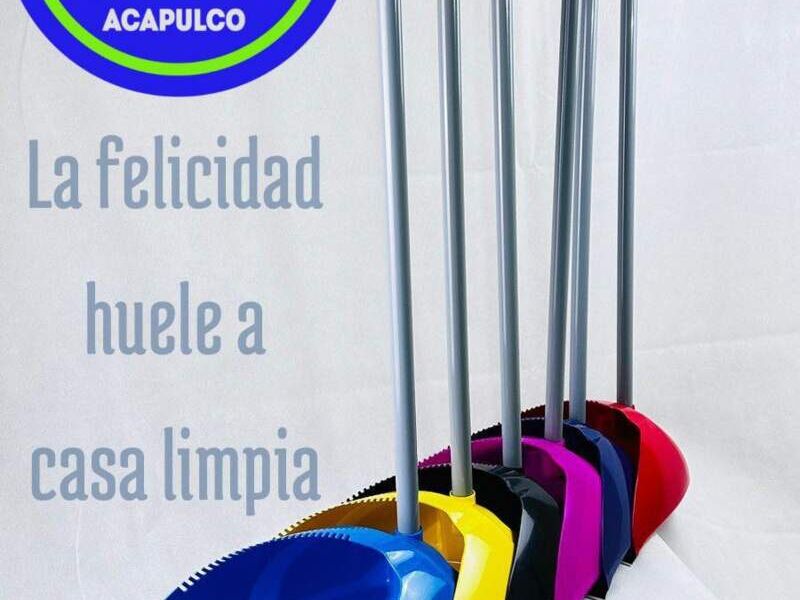 Recogedor premium México 