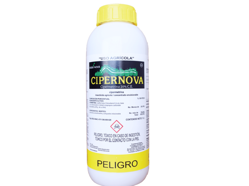 Cipernova México