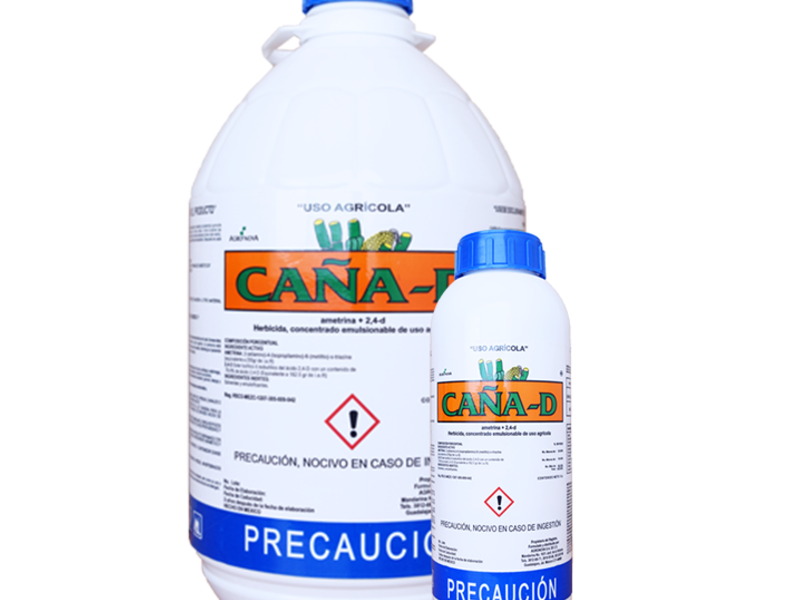 Caña D México 