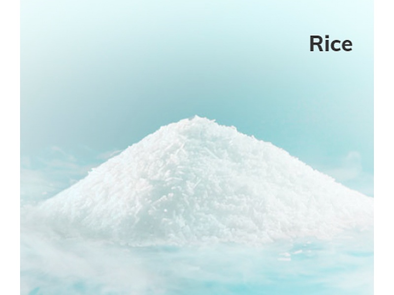 Hielo seco Rice Mexico