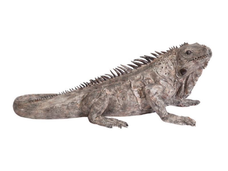 Figura deco Iguana 135cm
