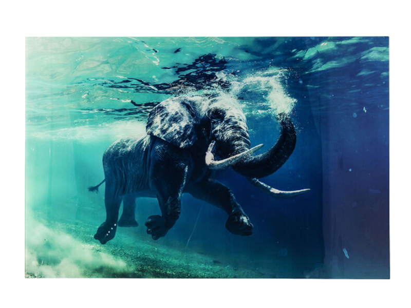 Cuadro cristal Swimming Elephant 180x120cm