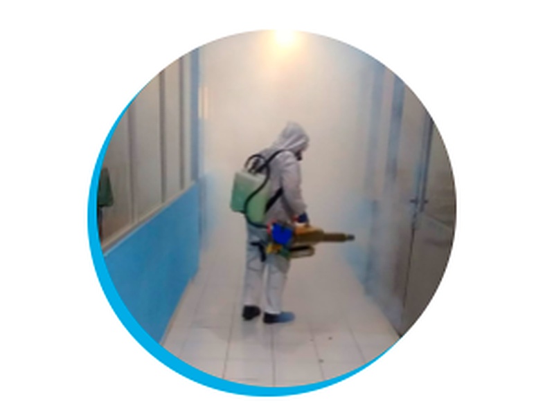 Sanitizantes México