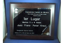Placas de reconocimiento