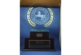 Trofeo de cristal y madera
