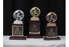 Trofeos de madera con metal