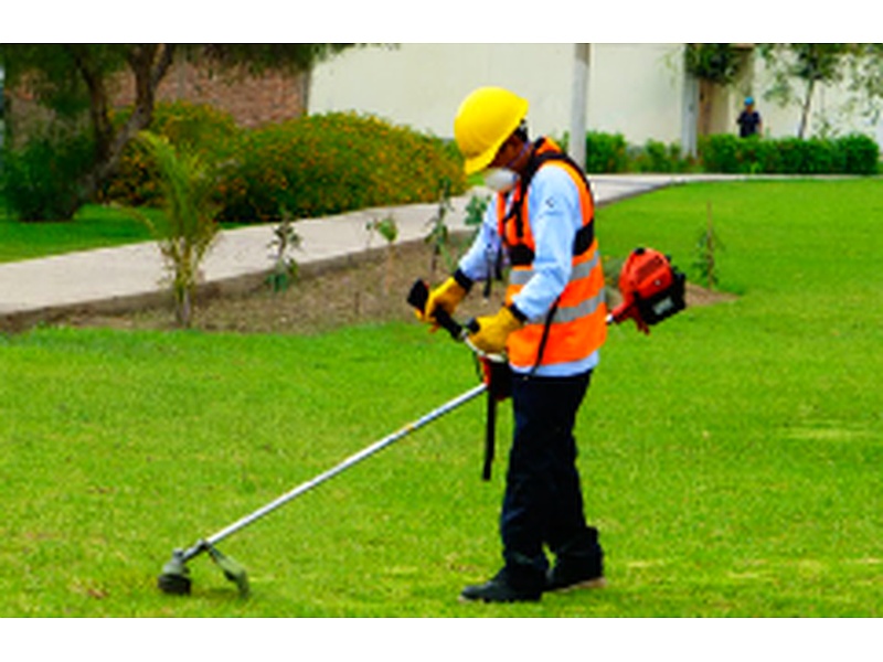 Servicios de Jardinería México