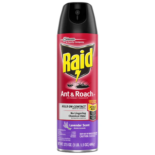 Raid Ant Roach 496g México 