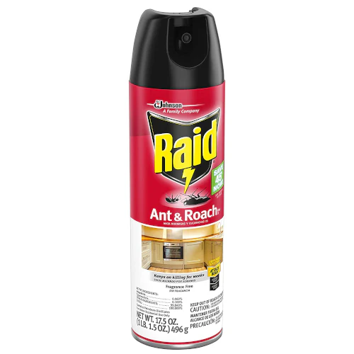 Raid Ant Roach 496g México 