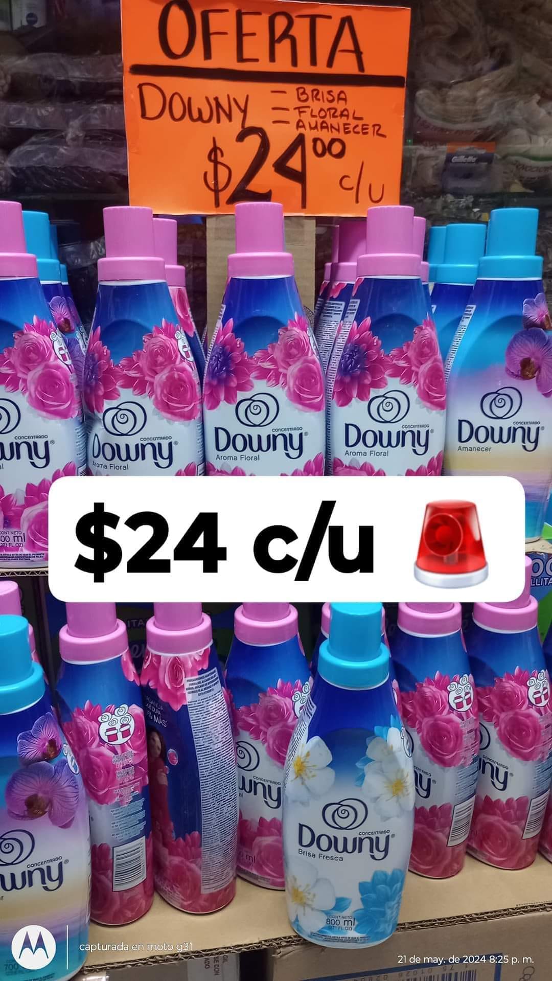 Downy México 