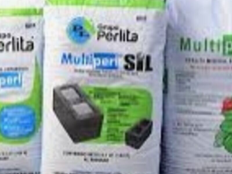Perlita mineral Saltillo 