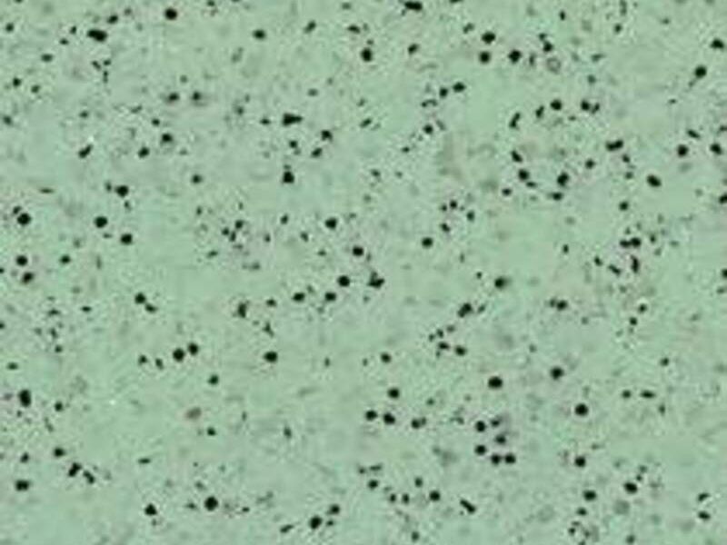 Piso Conductivo green Biocare México
