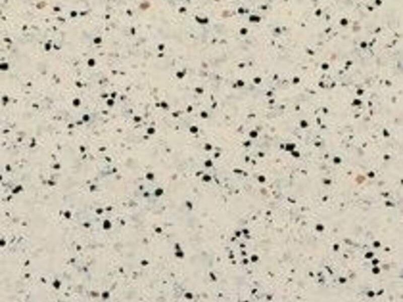 Piso Conductivo Beige Biocare México