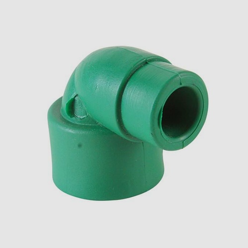 CODO MACHO-HEMBRA México