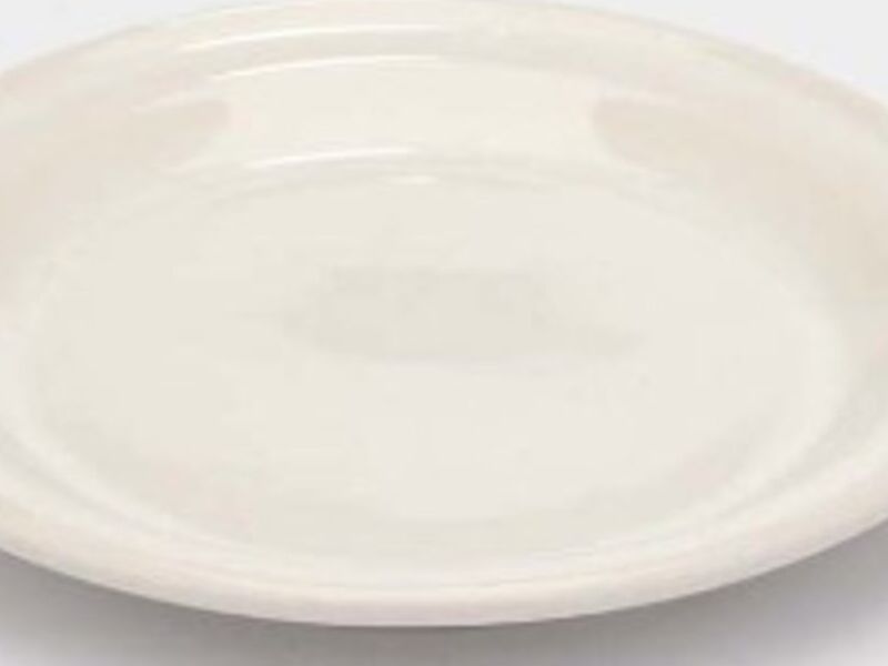 Plato Panero Puebla