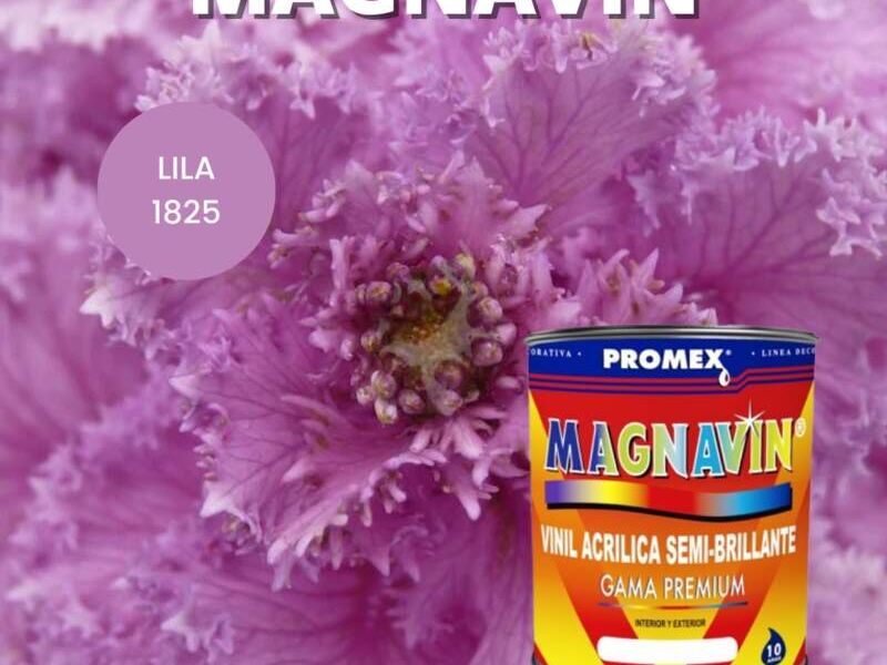 Pintura Vinil acrílica promex CDMX