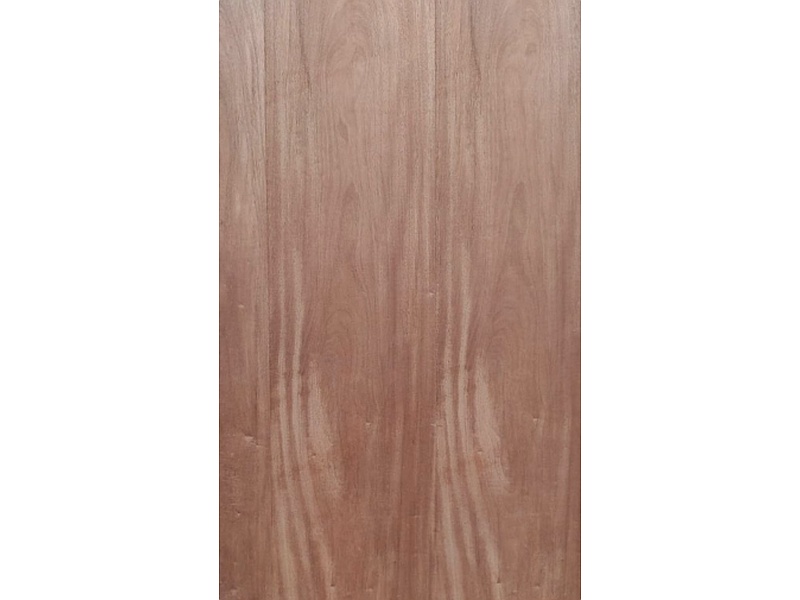 Chapas de caoba Mahogany Mexico