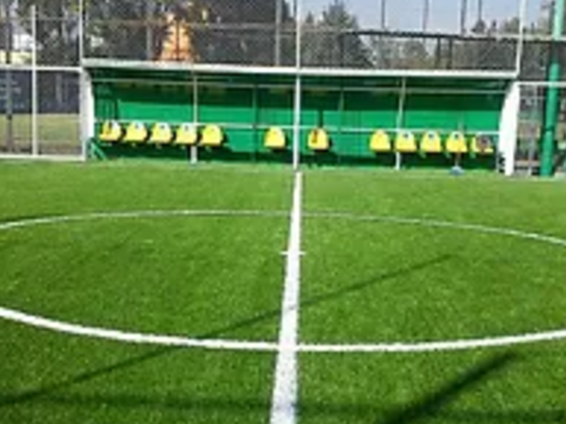 MURO VERDE DEPORTIVO PUEBLA 