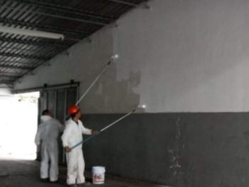 Pintura vinílica base agua México