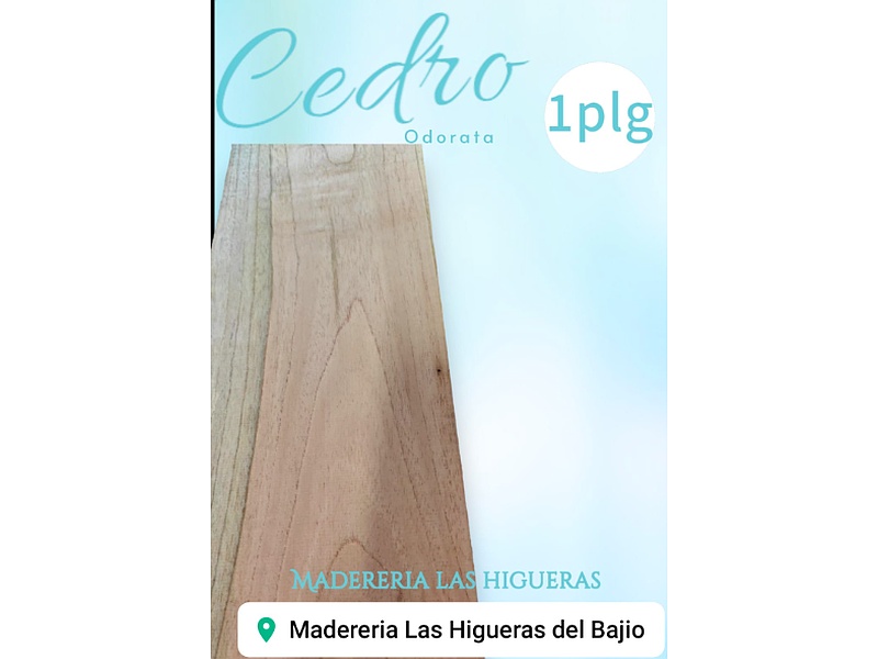 CEDRO ODORATA CELAYA