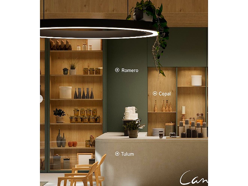 DISEÑO DE COCINAS CON MADERAS México