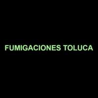Fumigaciones Toluca