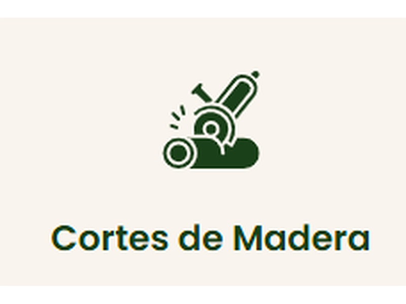 Cortes de madera México