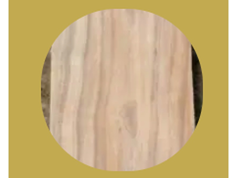 Madera Tzalam México