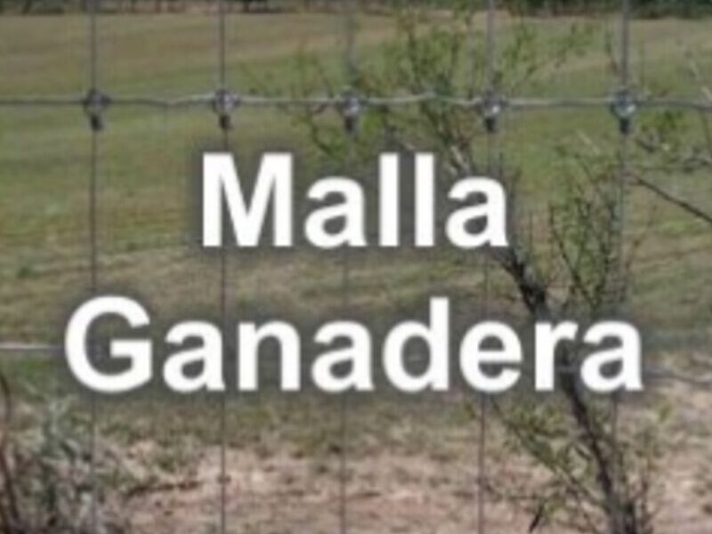 malla ganadera en Coacalco