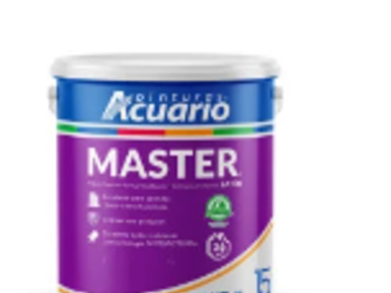Pintura Master 15 años 19 L