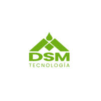 DSM Tecnologia Y Equipos