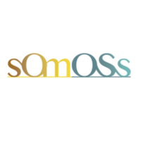 Somoss México