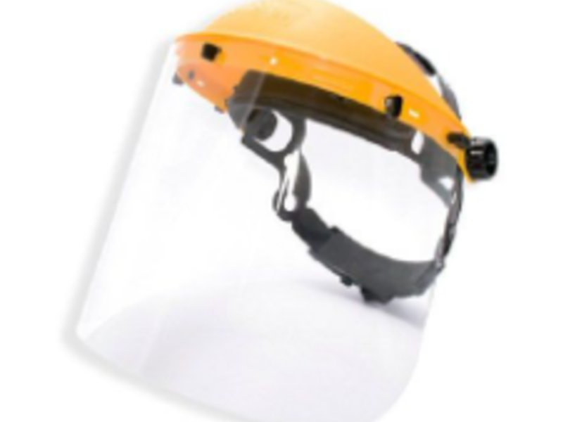 Protector facial Culiacán 