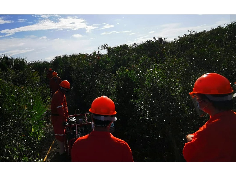 Consultoria Ecoeficiente para sus Proyectos Mexico